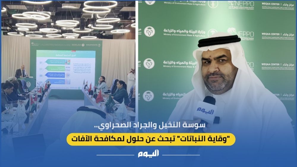 سوسة النخيل والجراد.. "وقاية النباتات" تبحث عن حلول لمكافحة الآفات