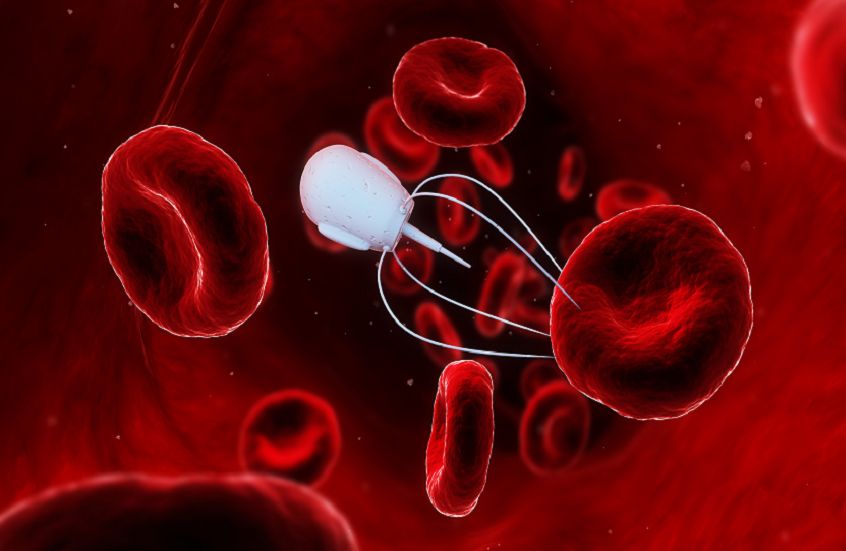 الامارات | روبوتات "أَرَقُ من الشعرة" تعالج الخلايا السرطانية