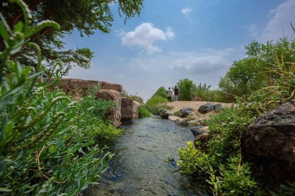 8 مزارع نموذجية للسياحة الريفية بالمناطق