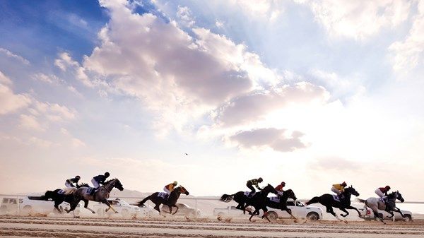 سباقات الخيول ترفع معدل الحماس في مهرجان ليوا الدولي