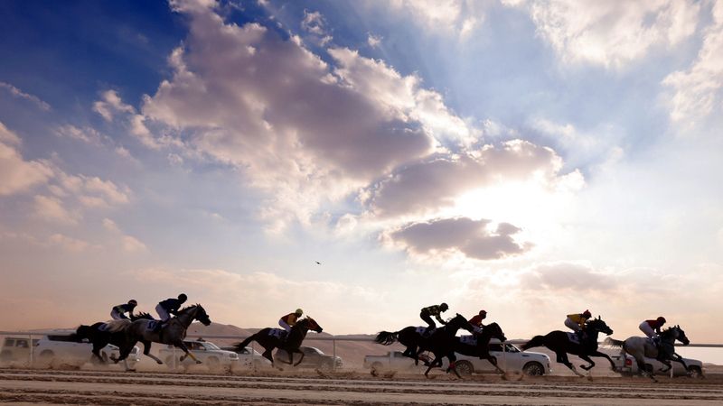 الامارات | «العريق» و«شامخ» يتصدران الخيول العربية في مهرجان ليوا الدولي