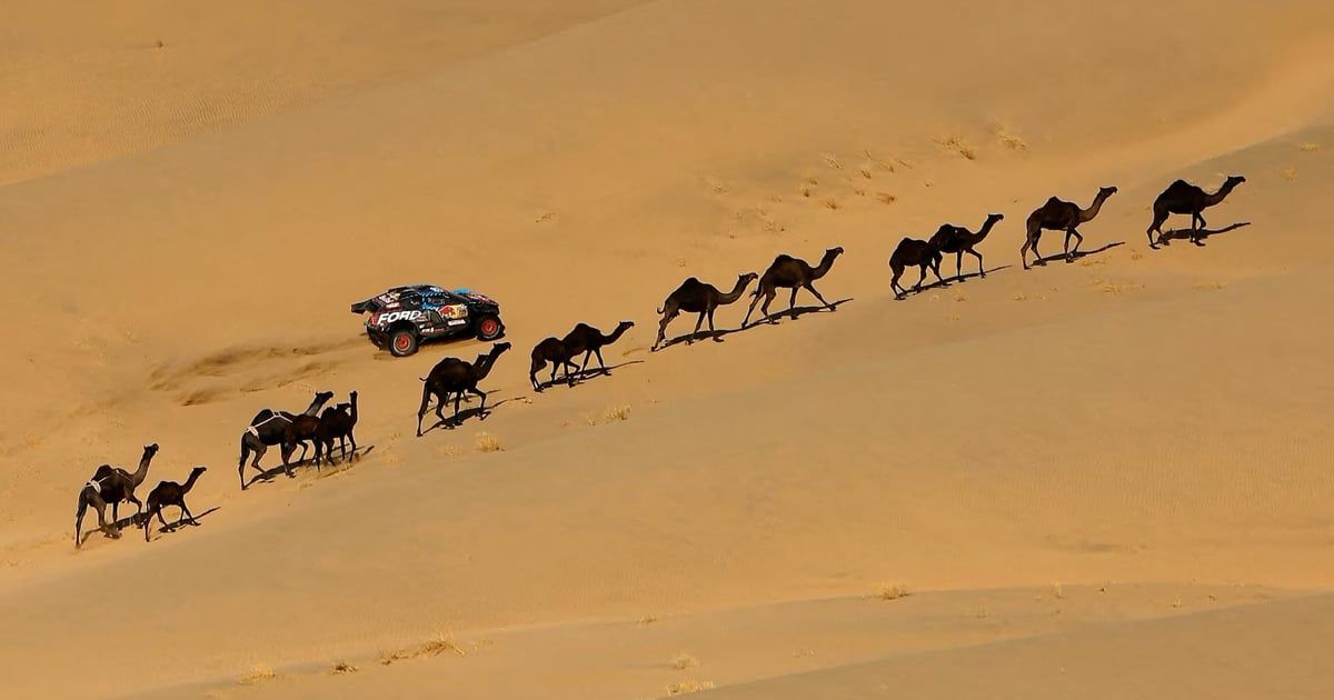 الأسبوع في 12 صورة : رعب وجحيم في لوس أنجلوس.. وتنافس حميم في رالي داكار السعودية