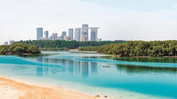 الإمارات في يوم البيئة الوطني: «جذورنا أساس مستقبلنا»