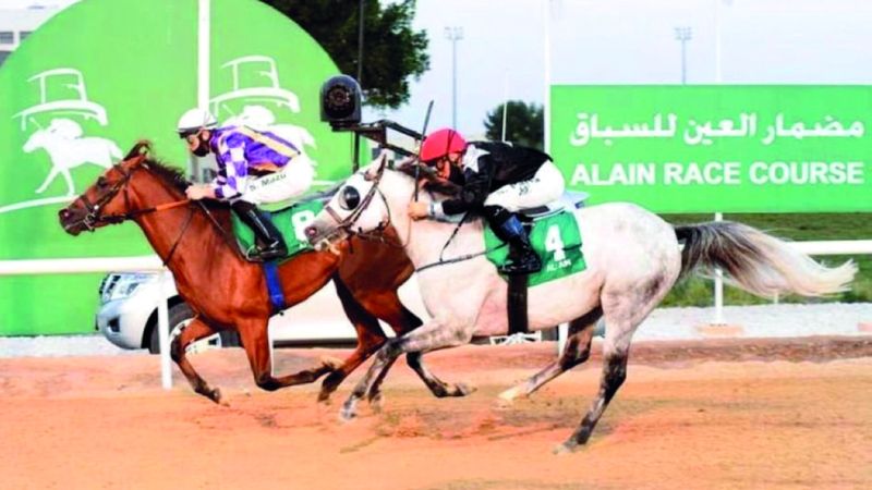 الامارات | 117 خيلاً في «السباق الثامن» على مضمار العين اليوم