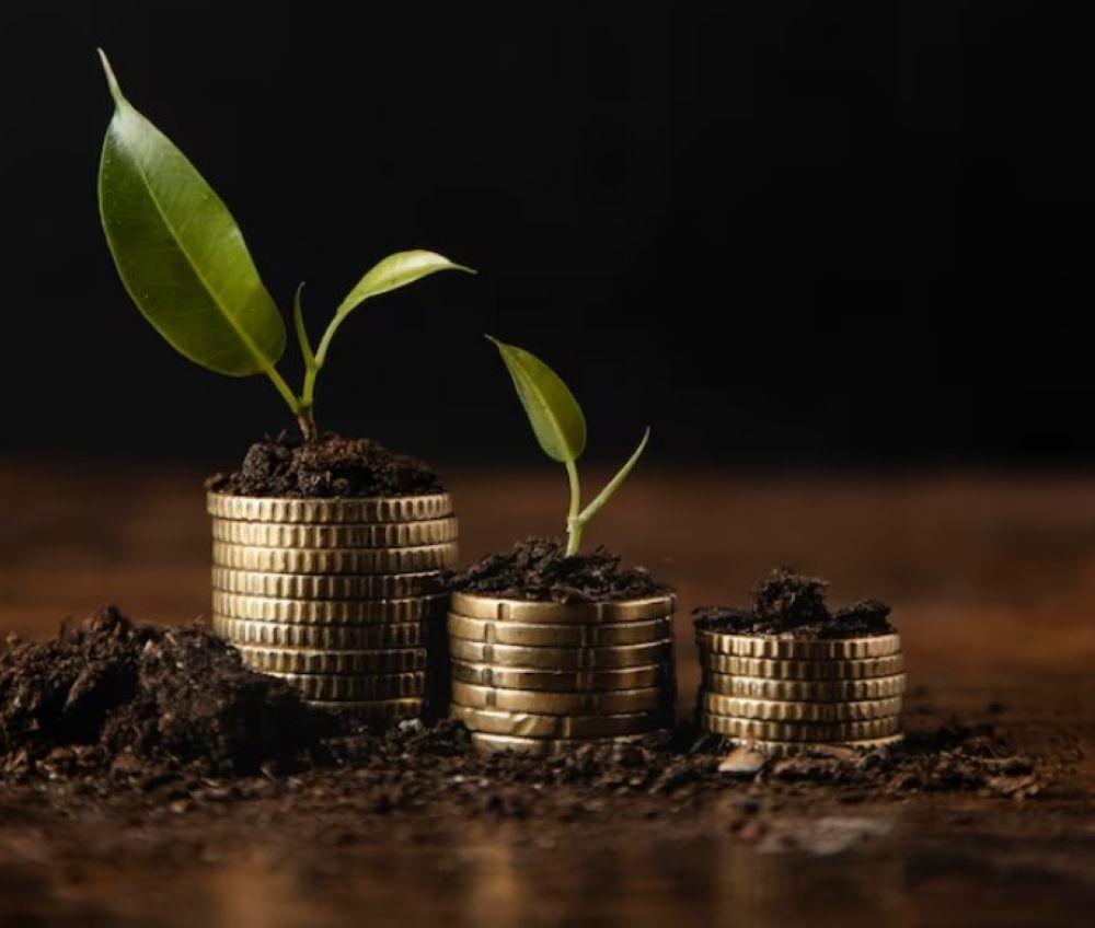 "بيئة الباحة" تطرح 7 فرص استثمارية مستقبلية ونوعية