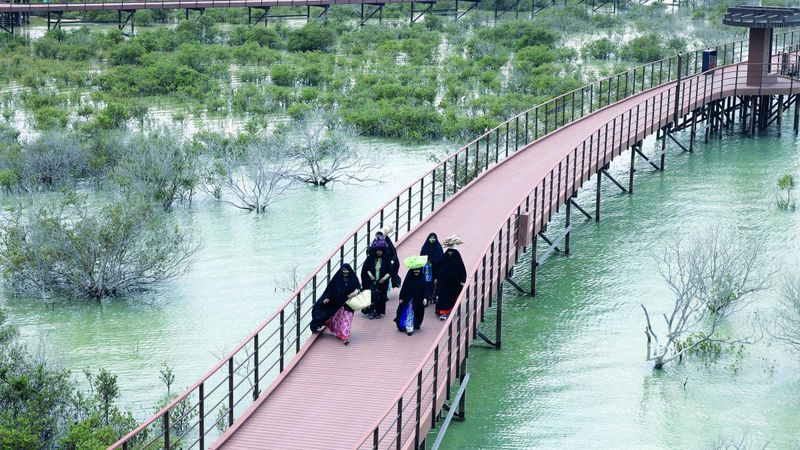 الامارات | «الظفرة البحري».. بين الحداثة والتراث جسر يربط الأجيال ببعضها
