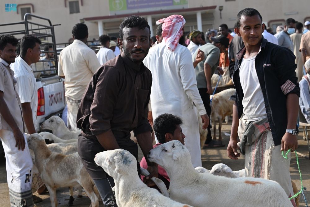صور| أسواق الماشية في جازان تشهد إقبالًا متزايدًا قبل شهر رمضان