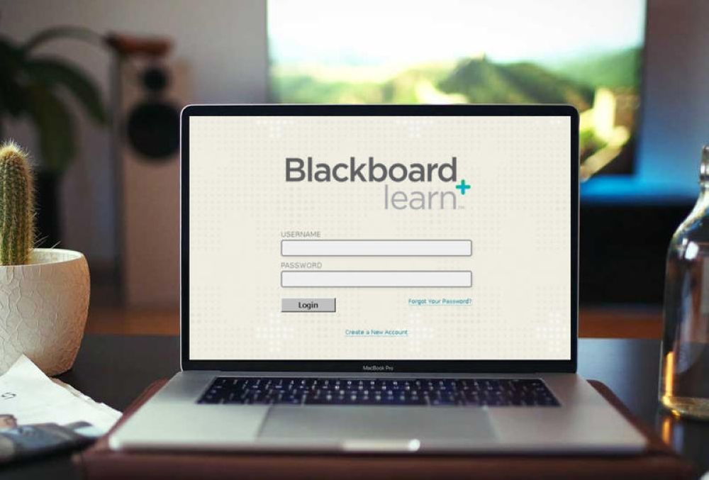 اليوم الثلاثاء.. تعليق الدراسة الحضورية بجامعة طيبة وعدد من فروعها