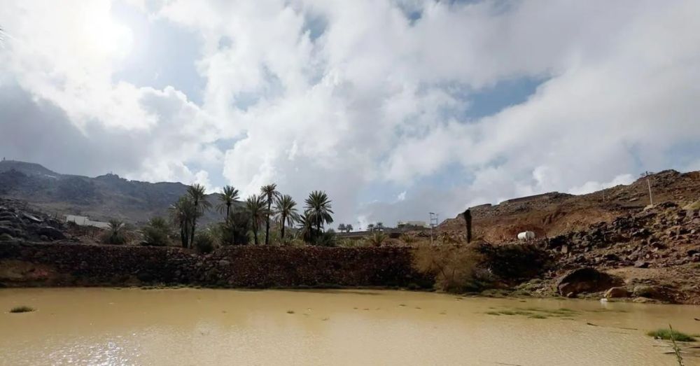 السماء ملبدة بالغيوم.. هطول أمطار غزيرة على المدينة المنورة