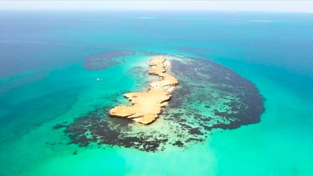"الأرصاد": رياح شديدة وارتفاع للأمواج على محافظة جزر فرسان