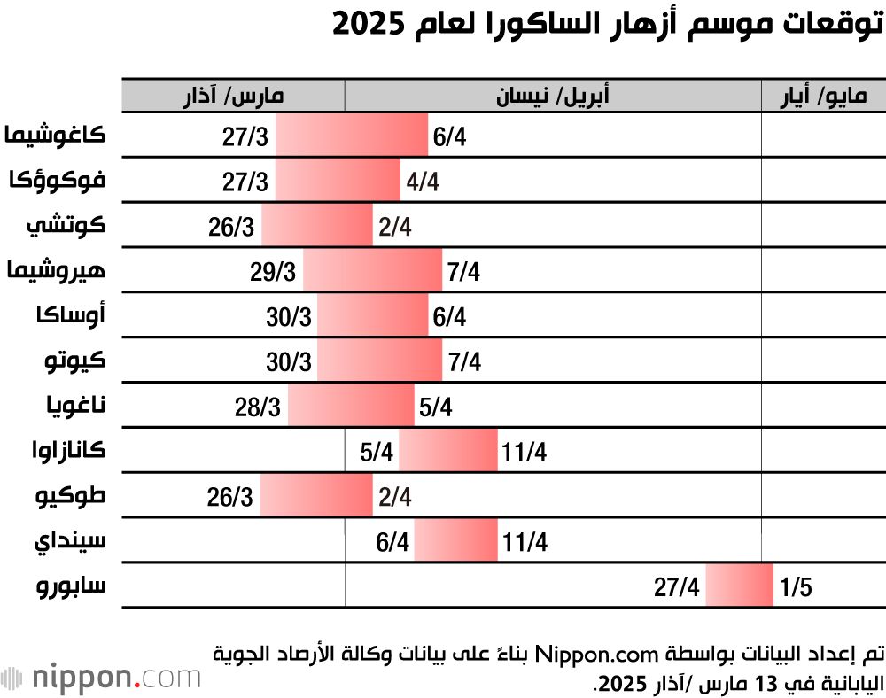 اليابان | متى ستبدأ أزهار الساكورا في اليابان بالتفتح؟ أحدث التوقعات والتفاصيل