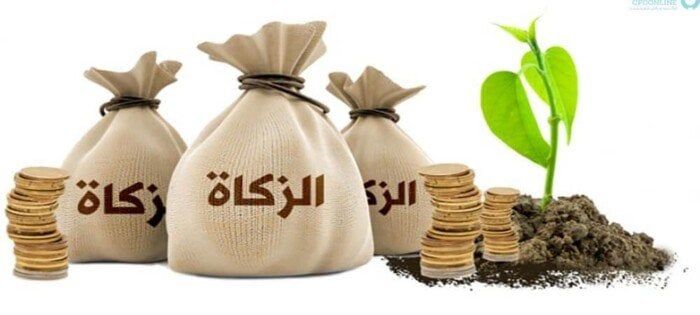 زكاة الفطر 2025: دار الإفتاء تكشف عن قيمتها وآخر موعد لإخراجها!
