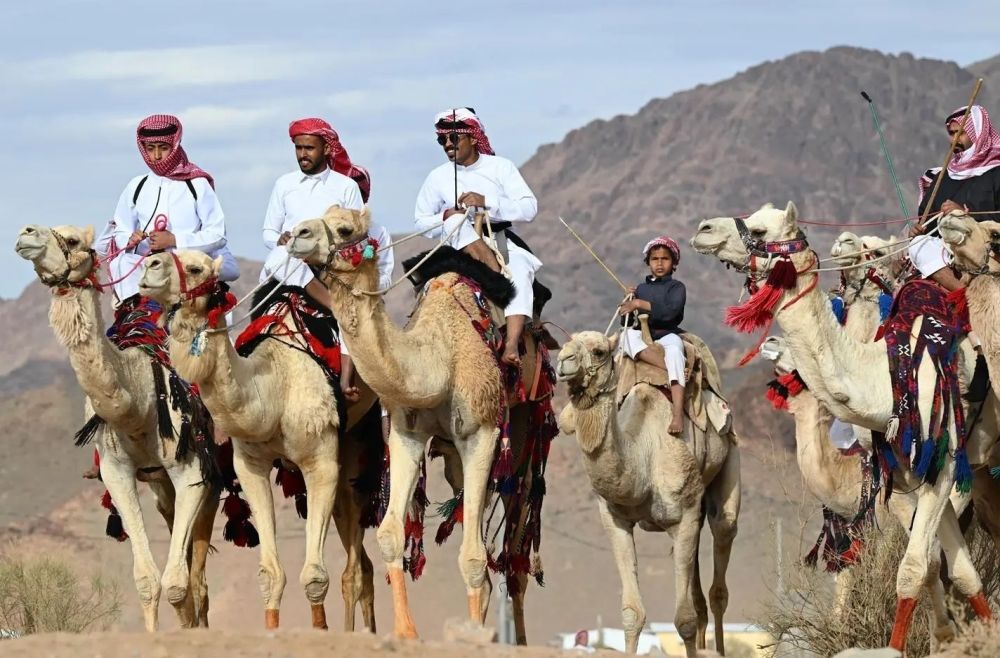 صور.. مواكب "الهجانة" تعزز فرحة الأعياد في بادية تبوك