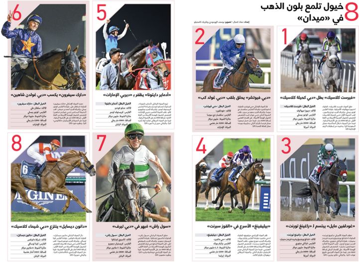 الامارات | 8 خيول تلمع بلون الذهب في «ميدان»
