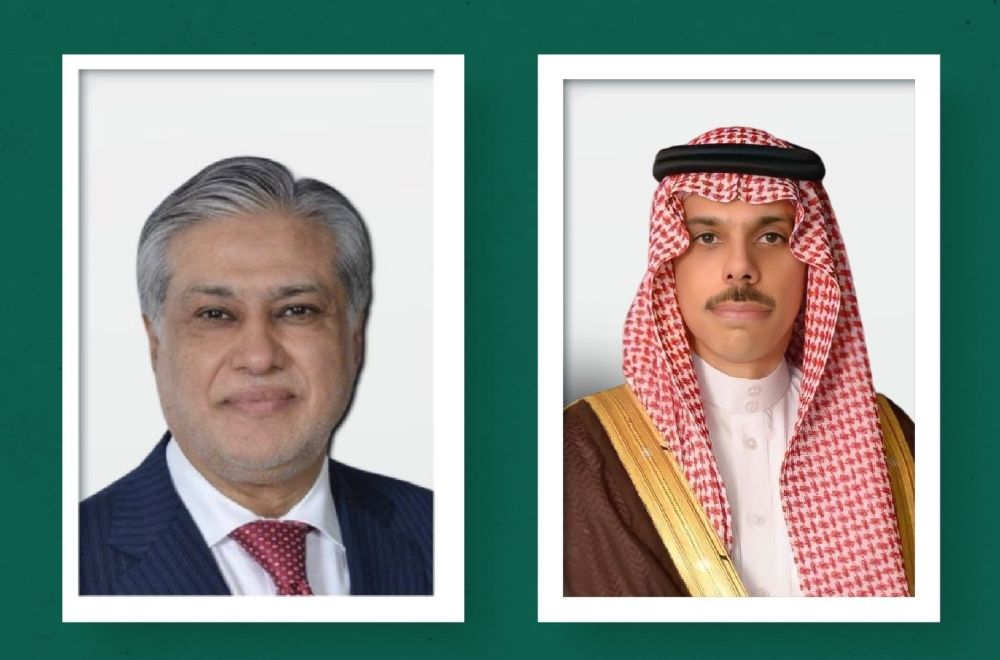 وزير الخارجية يبحث العلاقات الثنائية هاتفيًا مع نظيره الباكستاني