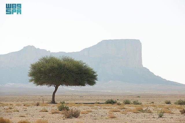 الخطوط السعودية تحتفي بإدراج شمال الرياض وسلمى على خارطة اليونسكو … فيديو