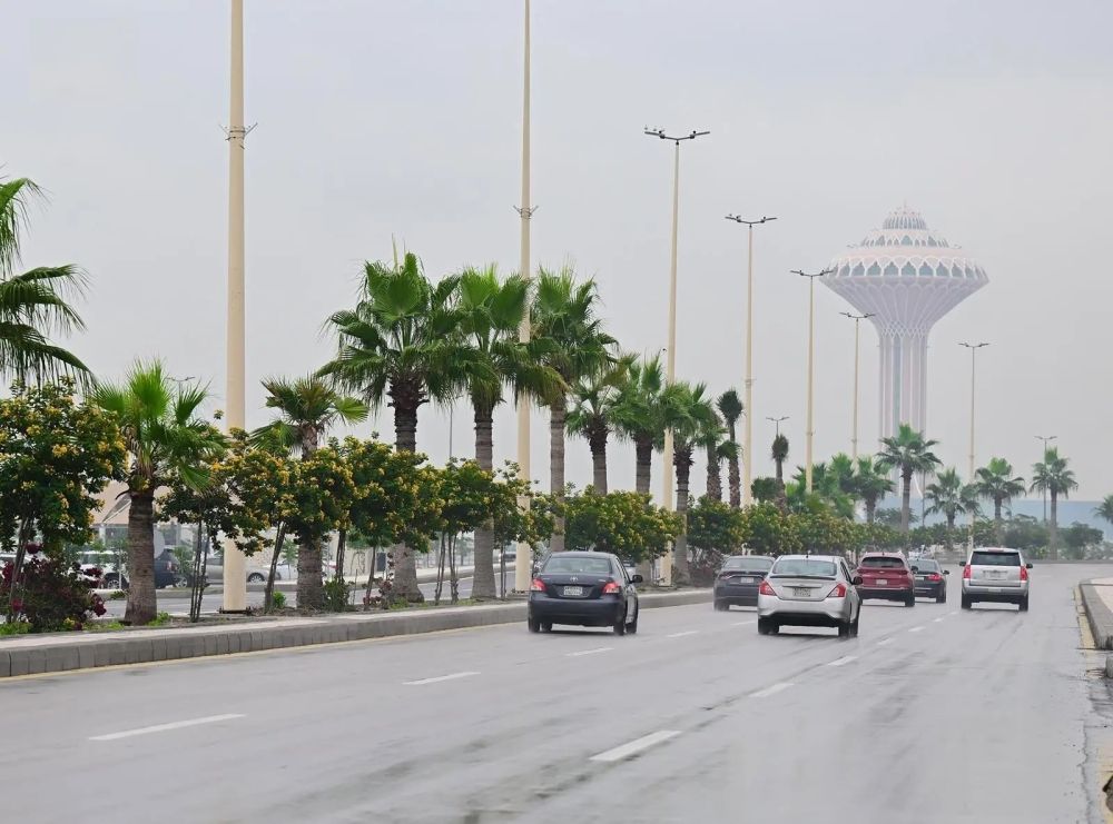 الأرصاد لـ"اليوم": الشرقية على موعد مع أمطار متفاوتة يومي الأحد والإثنين