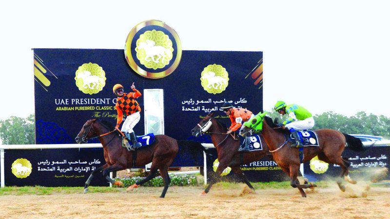 الامارات | كأس رئيس الدولة للخيول العربية تنطلق في تونس غداً