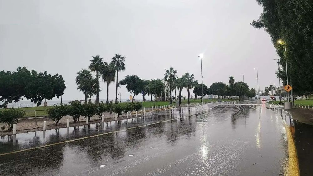 "البيئة": هطول أمطار في 10 مناطق وحائل تسجل أعلى كمية بـ 14.2 ملم