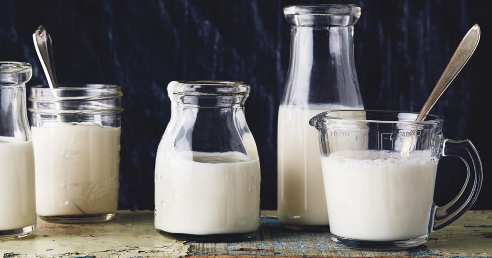 أنفلونزا الطيور.. أبرز محاور اجتماع ”وقاء“ لتعزيز صحة قطاع الألبان