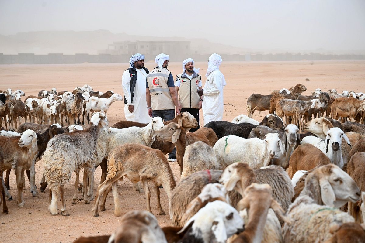 الامارات | "الهلال الأحمر" تطلق حملة مشروع الأضاحي بتكلفة 15 مليون درهم