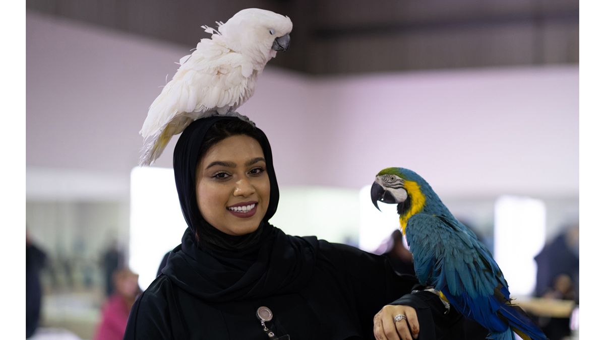 الامارات | الحيوانات الأليفة تدعم العلاج النفسي لـ 131 ضحية عنف في 2024
