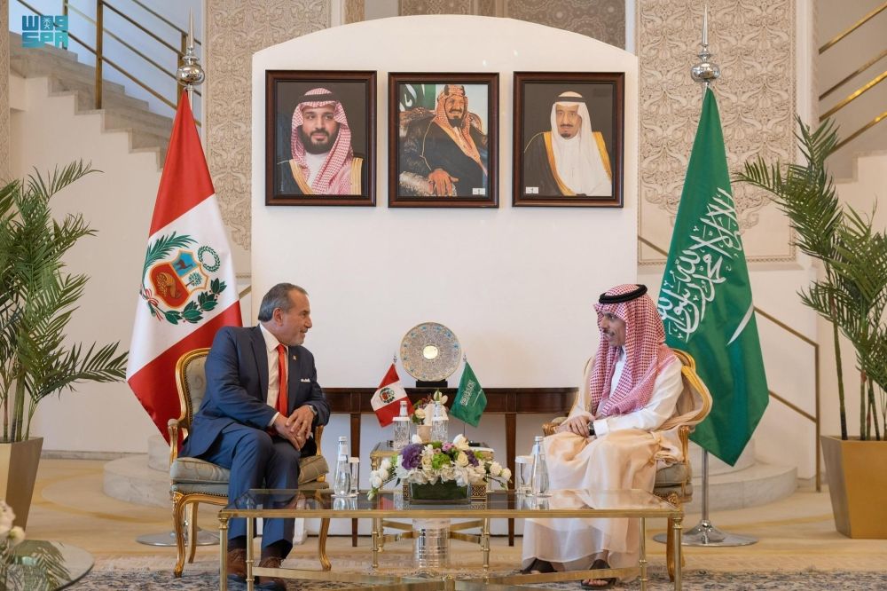 وزير الخارجية يناقش المستجدات الدولية مع نظيره البيروفي