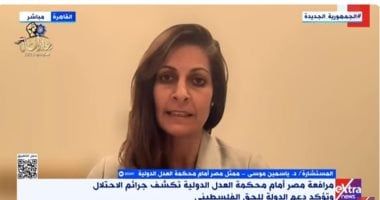 ياسمين موسى: رأى مصر الاستشارى أمام العدل الدولية لمحاولة الوصول للعدالة وحل الدولتين
