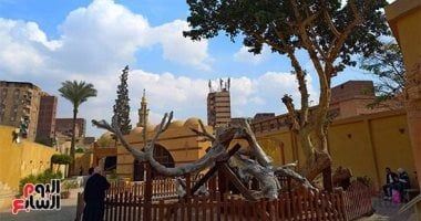 تعرف على أجيال شجرة مريم أحد أهم مسارات العائلة المقدسة