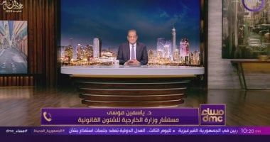الخارجية: مصر تنسق مع الدول ذات المواقف المشابهة تجاه القضية الفلسطينية