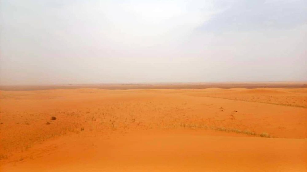 751 بلاغًا لمركبات عالقة ومفقودين