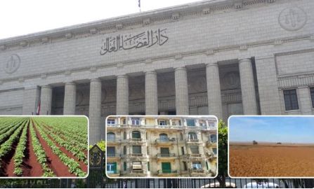 النقض تُرسخ لـ4 مبادئ قضائية بشأن حجية الصور الضوئية.. برلماني