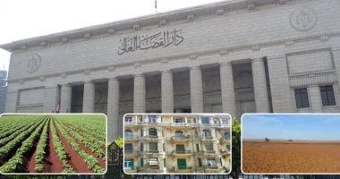 النقض تُرسخ لـ4 مبادئ قضائية بشأن حجية الصور الضوئية.. برلماني
