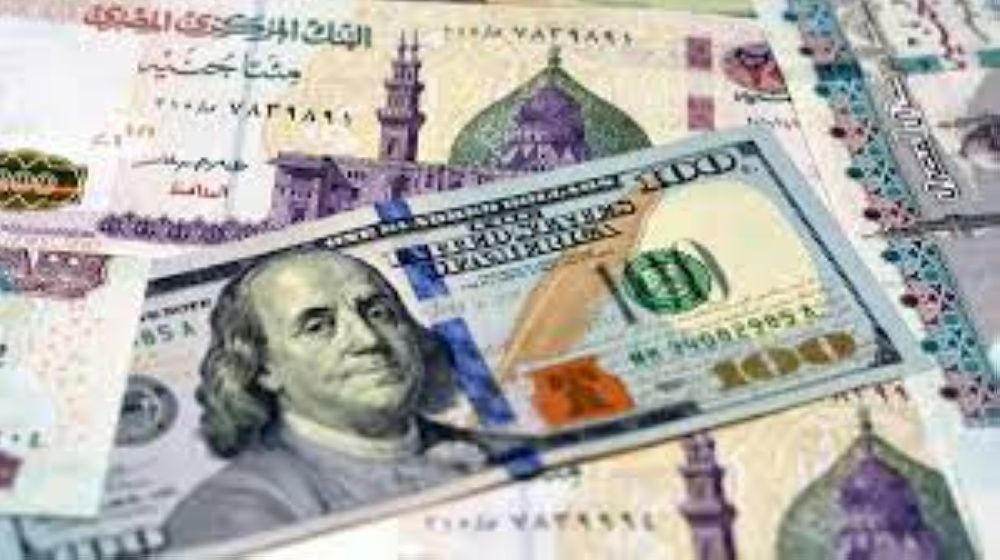استقرار سعر الدولار اليوم مقابل الجنيه في البنوك المصرية