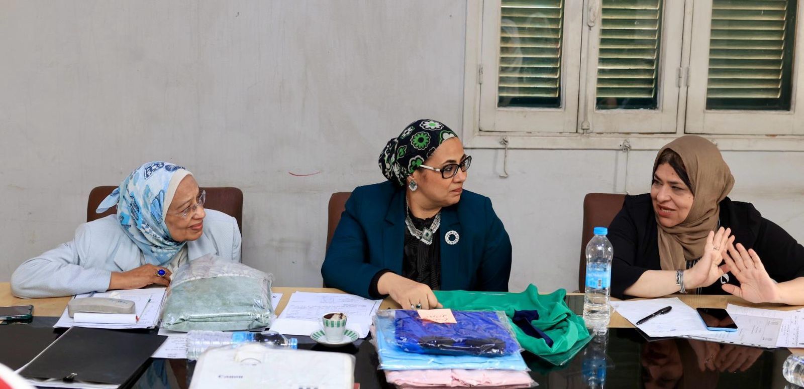 القومى للمرأة يشيد بجهود فرع المجلس فى أسوان لتمكين الفتاة الأسوانية
