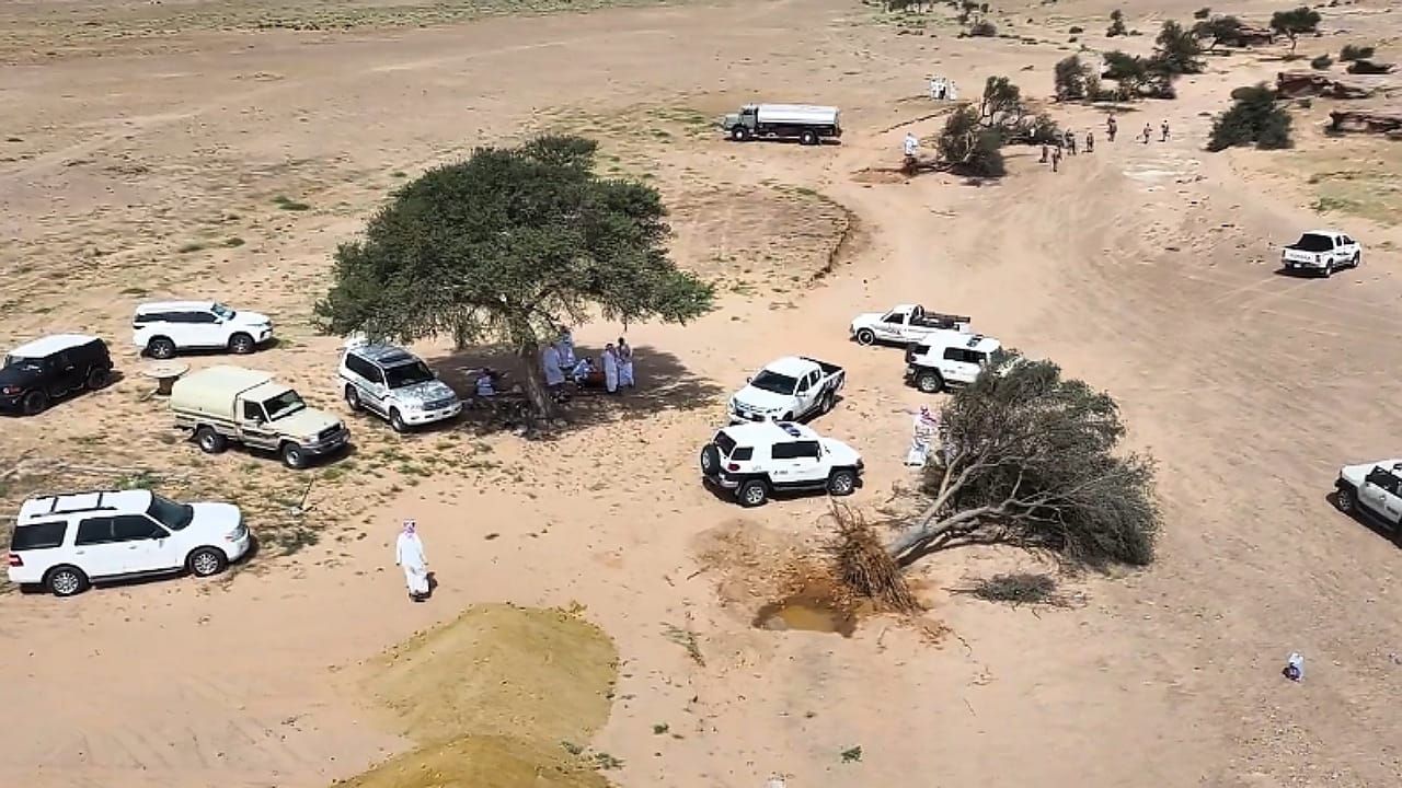 سقوط أشجار بسبب السيول في حائل: وتعاون ميداني لحماية الغطاء النباتي.. فيديو