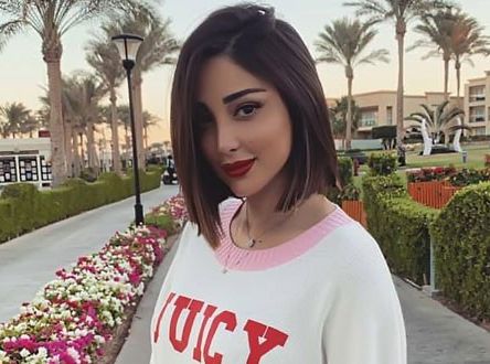 إعلامي شهير يشن هجوماً شرساً على بسمة بوسيل – فيديو