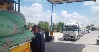 وزارة التموين: توريد 47 ألف طن قمح محلي من المزارعين ببني سويف حتى الآن