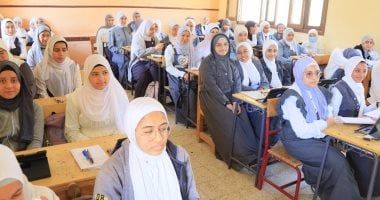 القانون يُحدد شروط وضوابط التدريس بالمدارس الفنية.. تعرف عليها