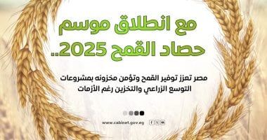 الحكومة تستعرض بالإنفوجراف جهود تعزيز الإنتاج المحلى من القمح وتأمين مخزونه