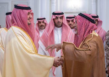 وزير الداخلية يلتقي عددا من المواطنين في المدينة المنورة.. فيديو