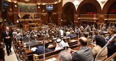 الأمن السيبراني درع الاقتصاد الرقمى.. عضو بالشيوخ يستعرض دراسة حول "الهمجات المحتملة"