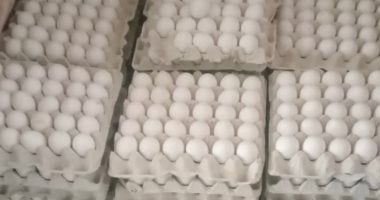 الإصلاح الزراعى: طرح بيض المائدة للمواطنين بسعر 115 جنيها للطبق