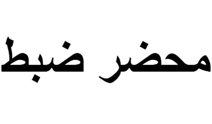 مصلحة الاقتصاد سطرت 10 محاضر ضبط في صيدا وصور لعدم الالتزام بتسعيرة المولدات