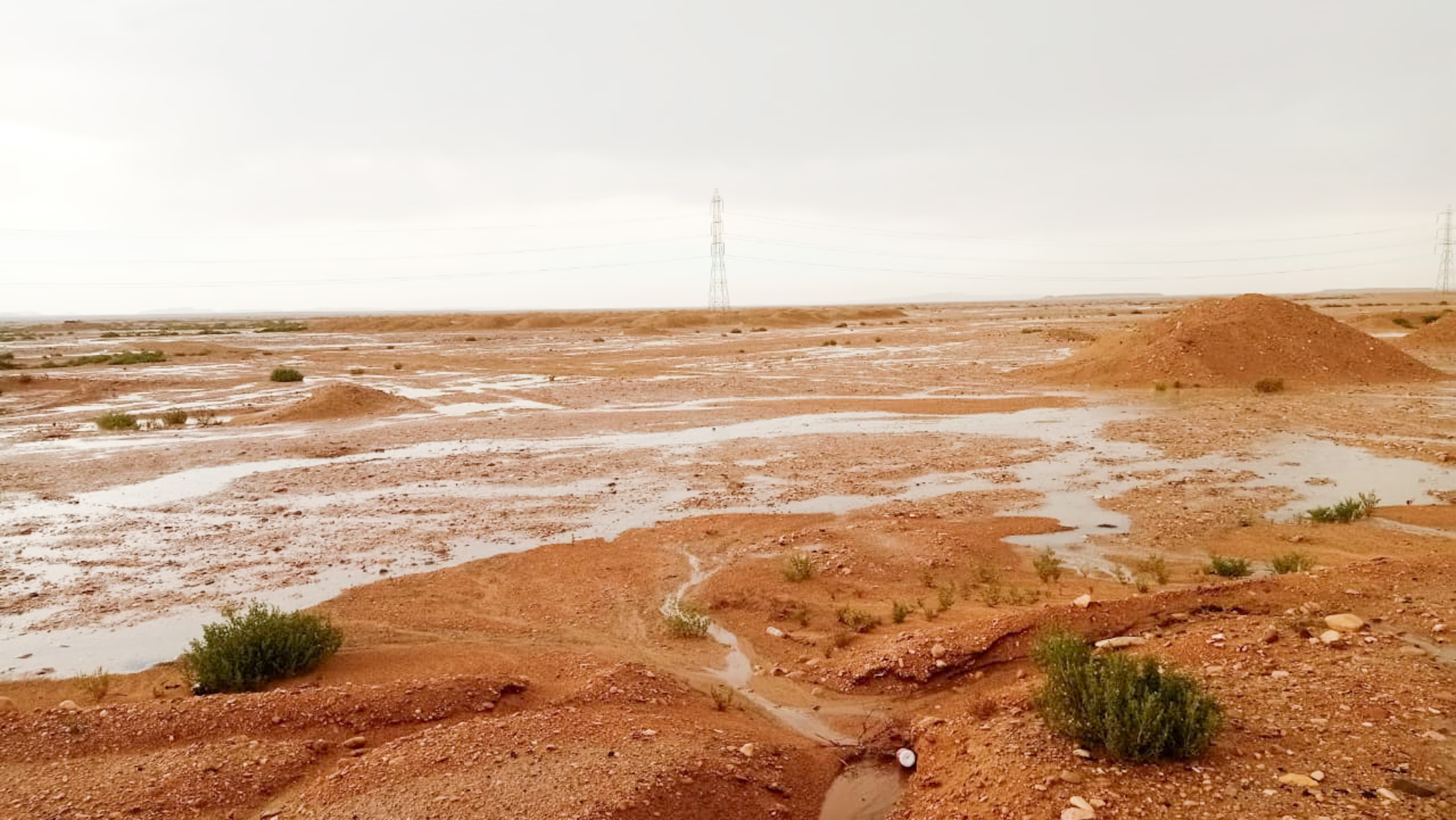 وزير الرى: تنفيذ 561 منشأ للحماية من السيول بشمال وجنوب سيناء