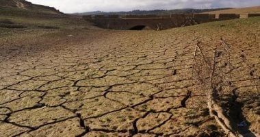 تكنولوجيا: دراسة: الجفاف وموجات الحر تقلل من قدرة النباتات على امتصاص ثاني أكسيد الكربون