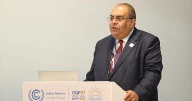 محيي الدين: التوجه المحلي والإقليمي هو الأفضل للتعامل مع التقلبات الجيوسياسية الراهنة