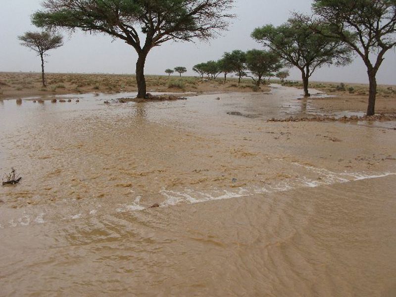 وزير الصحة بسنار يقف على سير العمل بمركز غسيل كُلى الدندر