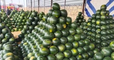 شعبة الخضر والفاكهة باتحاد الغرف التجارية تكشف موعد هبوط أسعار فاكهة الصيف