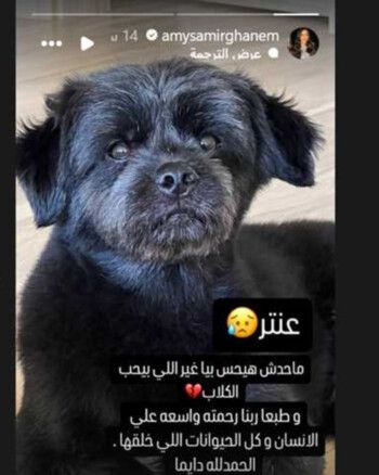 إيمي سمير غانم تودع كلبها بكلمات حزينة